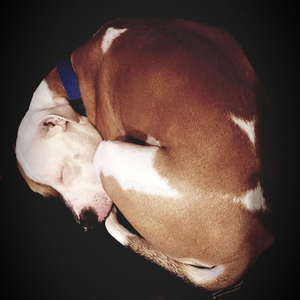 Meet your Posher, Roman